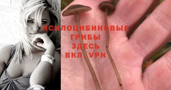 скорость Бородино