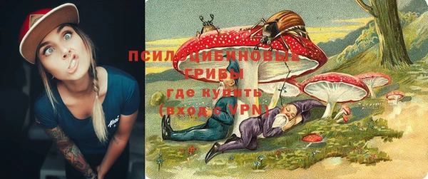 соль ск Володарск