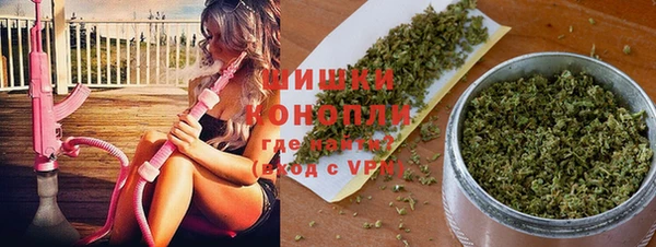 дмт Верея