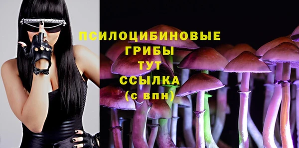 прущий лед Волосово